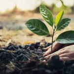 Strengthening the Agricultural Extension System to Sustain Climate Resilience and Inclusive Locally Led Adaptation Among Smallholder Farmers Through Effective Knowledge Brokering